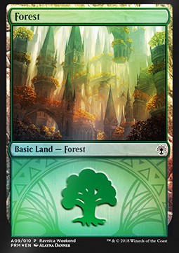 Forest (V.2) - Weekend Promos (Land)