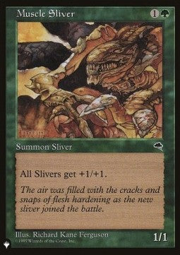 Muscle Sliver