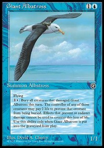 Giant Albatross (V.2)