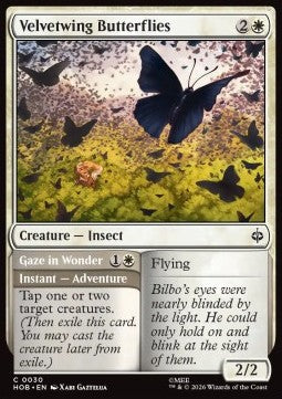 Velvetwing Butterflies // Gaze in Wonder