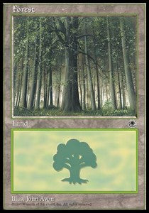 Forest (V.1) - Portal (Land)
