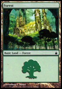 Forest (V.3) - Ravnica: City of Guilds (Land) [RAV-305]