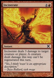Incinerate - Tenth Edition (Common) [10E-213]