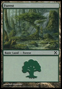 Forest (V.3) - Tenth Edition (Land) [10E-382]