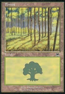 Forest (V.4)