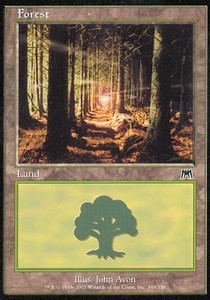 Forest (V.3)