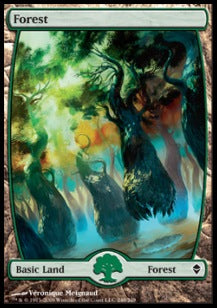 Forest (V.6)