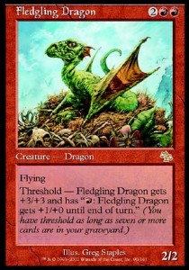 Fledgling Dragon