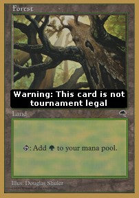 Forest (V.1)