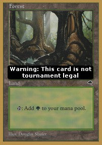 Forest (V.2)