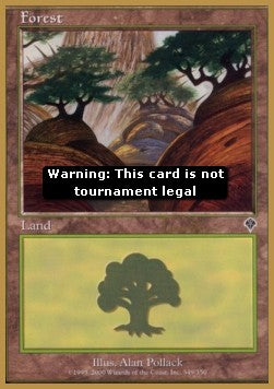 Forest (V.6)