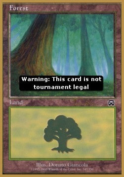 Forest (V.7)