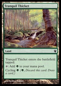 Tranquil Thicket - Duel Decks: Izzet vs. Golgari (Common) [DDJ-82]