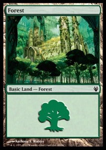 Forest (V.3) - Duel Decks: Izzet vs. Golgari (Land) [DDJ-89]
