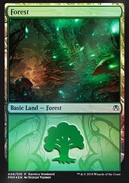 Forest (V.1) - Weekend Promos (Land)