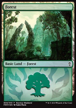 Forest (V.3) - Weekend Promos (Land)