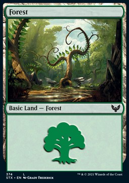Forest (V.1) - Strixhaven: School of Mages: Extras (Land) [XSTX-374]