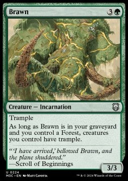 Brawn - Commander: Modern Horizons 3 (Uncommon) [M3C-224]