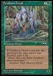Fyndhorn Druid (V.2)